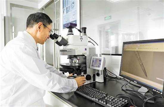 人工智能賦能國門生物安全 寧波海關(guān)上線松材線蟲智能識別軟件